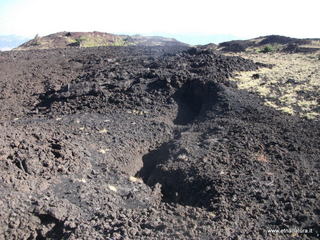 otta delle femmine di monte Nero-23-09-2012 09-01-02